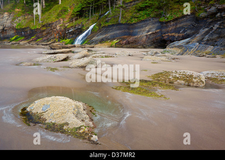 OR01035-00... OREGON - Wasserfall Verschütten auf den Strand bei Oswald West State Park. Stockfoto