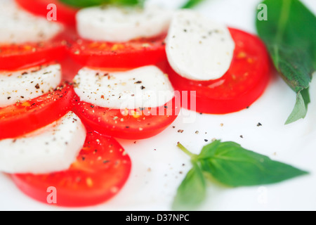 Tomate und Mozzarella mit Basilikum Blätter auf einem Teller Stockfoto