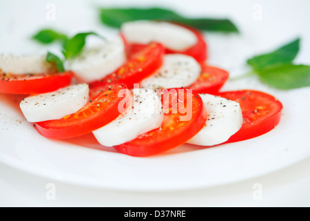 Tomate und Mozzarella mit Basilikum Blätter auf einem Teller Stockfoto