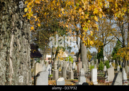 Blick auf Friedhof Friedhof Grabdenkmäler Kreuz und bunte Bäume im Herbst. Stockfoto