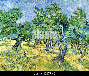 Vincent Van Gogh, Olive Grove. 1889. Post-Impressionismus. Öl auf Leinwand. Rijksmuseum Kröller-Müller, Otterlo, Niederlande. Stockfoto
