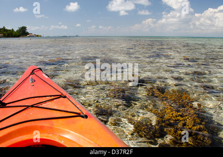 Belize, Karibik, Bezirk Stann Creek, Kyle Cathie Cay. Kajak auf dem Barrier Reef. Stockfoto