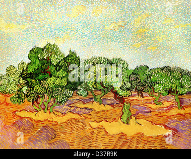Vincent Van Gogh, Olive Grove - Pale Blue Sky. 1889. Post-Impressionismus. Öl auf Leinwand. Ort der Schöpfung: Saint-Rémy-Blanzy, Stockfoto