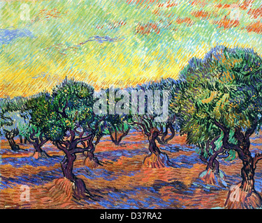 Vincent Van Gogh, Olive Grove - Orange Sky. 1889. Post-Impressionismus. Öl auf Leinwand. Goteborgs Kunstmuseum, Göteborg, Schweden. Stockfoto