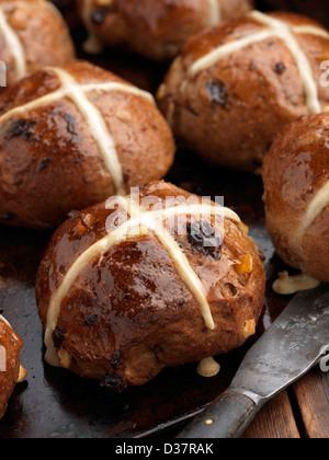 Hot Cross Buns auf ein Backblech legen Stockfoto