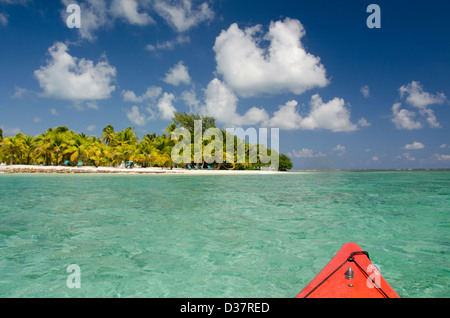 Belize, Karibik, Kyle Cathie Cay. Kajakfahren in den klaren Gewässern vor der Küste von Kyle Cathie Cay. Unesco Stockfoto