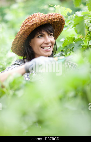 Lächelnde Frau, die Arbeit im Garten Stockfoto