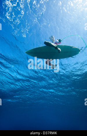 Niedrigen Winkel Blick auf Surfer im Wasser Stockfoto