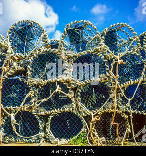 Hummer-Töpfe "Loguivy-de-la-Mer" Hafen Brittany France Stockfoto