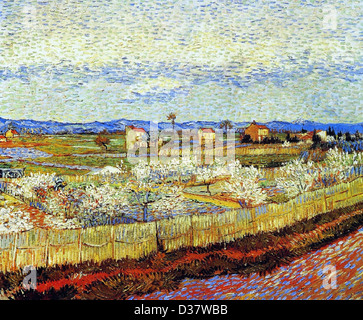 Vincent Van Gogh, Pfirsich Bäume in Blüte. 1889. Post-Impressionismus. Öl auf Leinwand. Courtauld Institute of Art, London, UK. Stockfoto