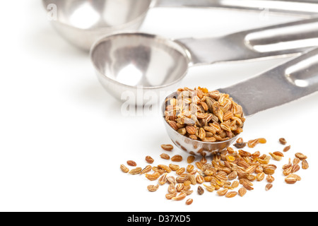 Anissamen in Metall Kugel auf weißem Hintergrund Stockfoto