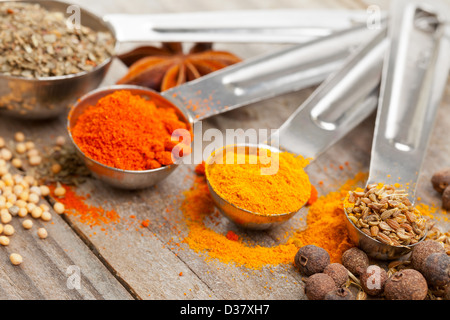 Verschiedene gemischte Gewürze (Oregano, Curcuma, Paprika, Anis) in Metall Kugeln auf Holztisch Stockfoto