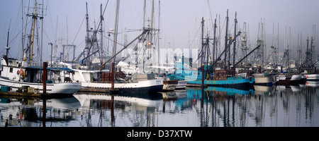 Boote mit Nebel in Newport Harbor. Oregon Stockfoto