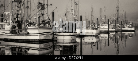 Boote mit Nebel in Newport Harbor. Oregon Stockfoto