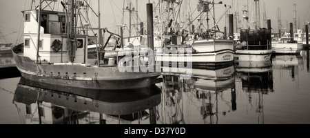 Boote mit Nebel in Newport Harbor. Oregon Stockfoto