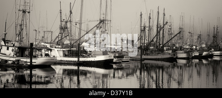 Boote mit Nebel in Newport Harbor. Oregon Stockfoto