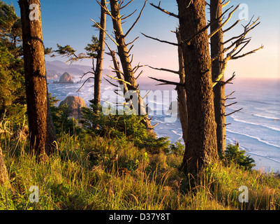 Übersehen von Cannon Beach mit Haystack Rock aus Ecola State Park, Oregon Stockfoto