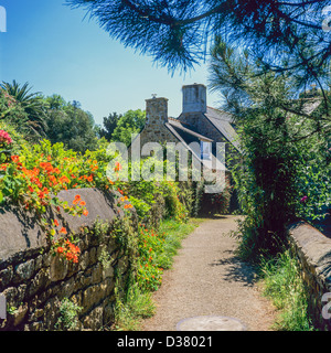 Blühenden Lane und typische Häuser "Bréhat" Insel Brittany France Stockfoto