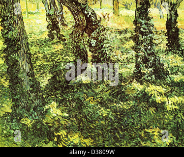 Vincent Van Gogh, Stämme der Bäume mit Efeu. 1889. Post-Impressionismus. Öl auf Leinwand. Rijksmuseum Kröller-Müller, Otterlo Stockfoto