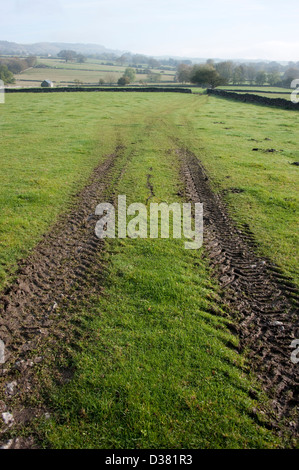 Traktor-Rad-Spuren im schlammigen Feld Stockfoto