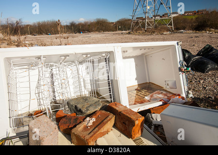 Fliegen Sie, Trinkgeld in Barrow in Furness, Cumbria, UK Stockfoto