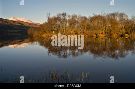 Bewaldete Insel in sehr still See mit entfernten schneebedeckten Berg, Loch Tay, Schottland Stockfoto