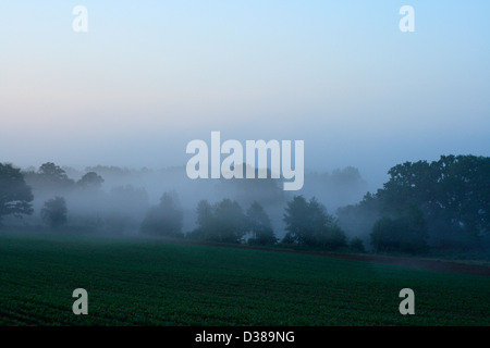 Ackerland im Nebel bei Sonnenaufgang, im Frühling, Feldern, die durch ein Baum Hecke getrennt (Norden Mayenne, Pays de la Loire, Frankreich, Europa). Stockfoto