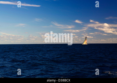 Yachten Segeln im Hafen von Sydney NSW, Australien Stockfoto