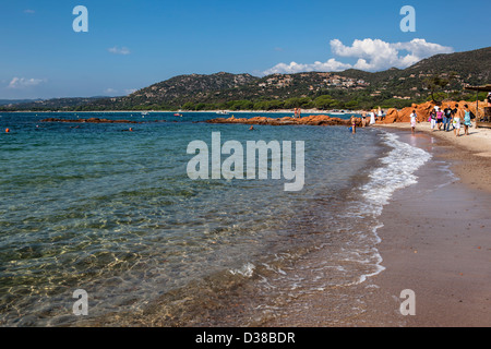 Palombaggia Sandstrand in der Nähe von Porto-Vecchio, Korsika, Frankreich Stockfoto