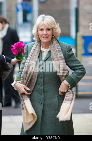 Camilla, Herzogin von Cornwall Unternehmen Engagements in Wiltshire im Februar 2013 Stockfoto