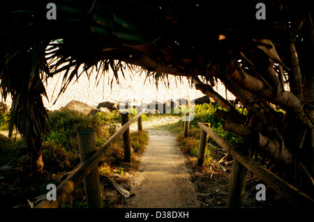 Einsamen Strand an der Gold Coast Australien Stockfoto