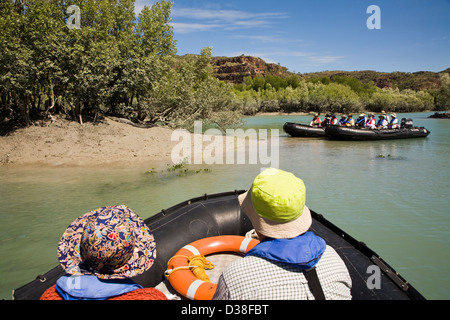 Passagiere aus der Aussie Expedition Kreuzer Orion auch einen Blick auf eine schleichende Salzwasser-Krokodil, Hunter River, Australien Stockfoto