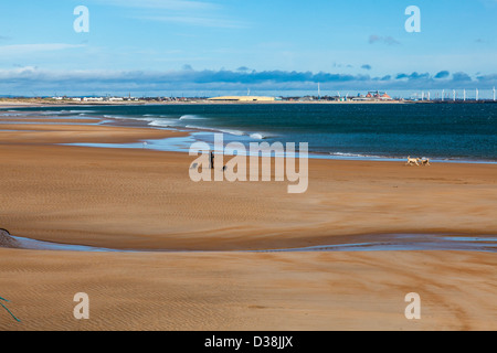 Dog Walker am Sandstrand bei Seaton Schleuse Northumberland, UK. Windkraftanlagen an den Hafen von Blyth in der Ferne Stockfoto