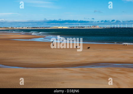 Dog Walker am Sandstrand bei Seaton Schleuse Northumberland, UK. Windkraftanlagen an den Hafen von Blyth in der Ferne Stockfoto