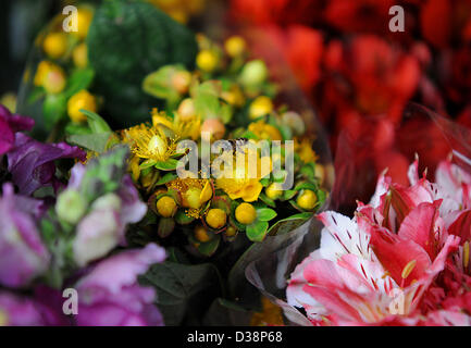 Eine Biene fliegt über Blumen zum Verkauf vor Valentinstag auf dem Dangwa Markt in Manila, Philippinen, Mittwoch, 13. Februar 2013. Am 14. Februar ist Valentinstag beobachtet eine oder mehrere frühen christlichen Märtyrer, die Heiligen Valentin benannt zu Ehren. Es war der erste von Papst Gelasius ich 496 n. Chr. gegründet und wurde später von allgemeiner Römischer Kalender der Heiligen im Jahr 1969 von Papst Paul VI gelöscht. Stockfoto