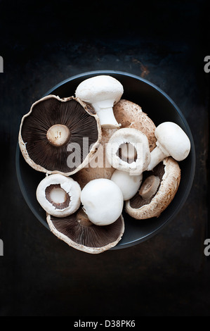 Schüssel mit verschiedenen Pilzen Stockfoto