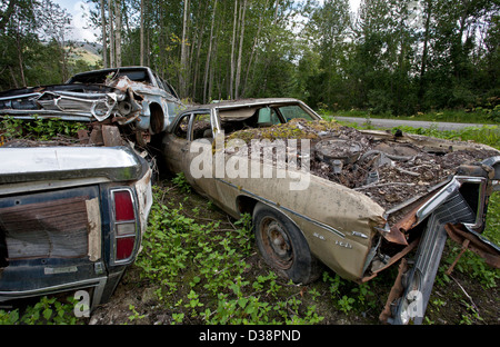 Auto-Friedhof. Hoffnung. Alaska. USA Stockfoto