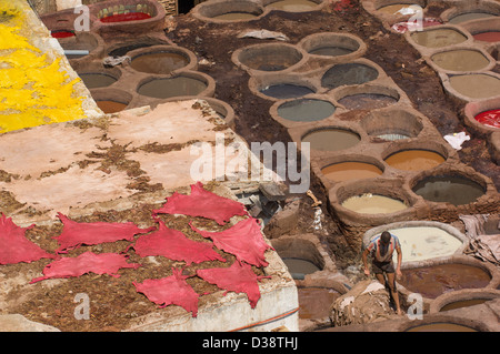 Rot und gelb gefärbten Leder Felle Trocknung vor der färben Gruben der Chouara Gerberei, Fes, Marokko Stockfoto