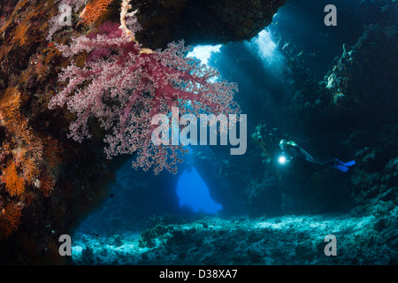 Taucher in Höhle, Höhle Riff, Rotes Meer, Ägypten Stockfoto