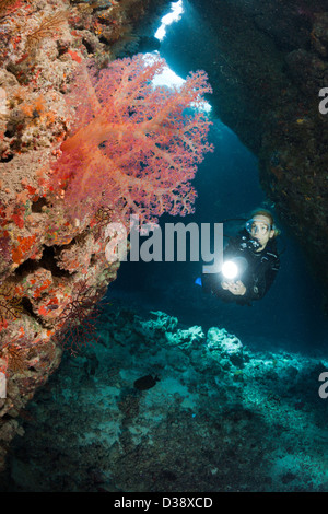 Taucher in Höhle, Höhle Riff, Rotes Meer, Ägypten Stockfoto