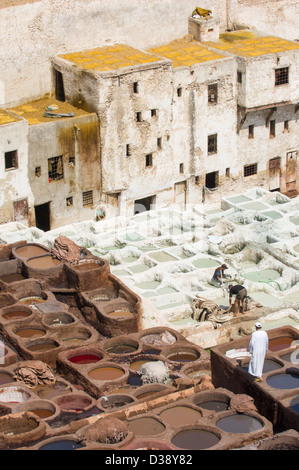 Arbeitnehmer in der Färberei und Aushärtung Gruben der alten Chouara Gerberei, Fes, Marokko Stockfoto