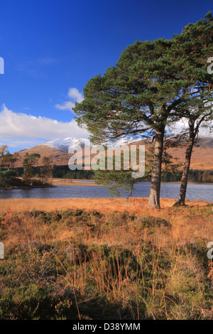 Loch Tulla & schwarze montieren, Rannoch Moor, Argyll, Schottland, Vereinigtes Königreich Stockfoto