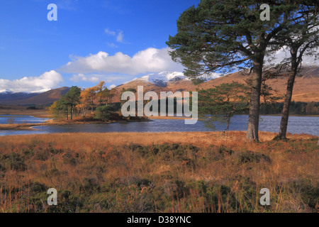 Loch Tulla & schwarze montieren, Rannoch Moor, Argyll, Schottland, Vereinigtes Königreich Stockfoto