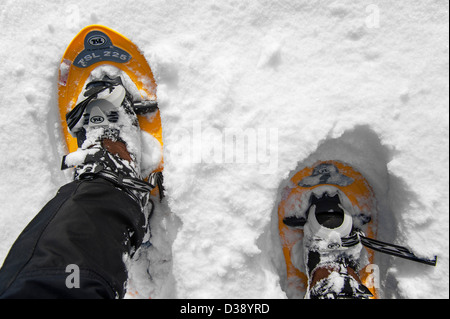 Nahaufnahme von Walker tragen Schneeschuhe auf Füßen beim Schneeschuhwandern im tiefen Pulverschnee im winter Stockfoto