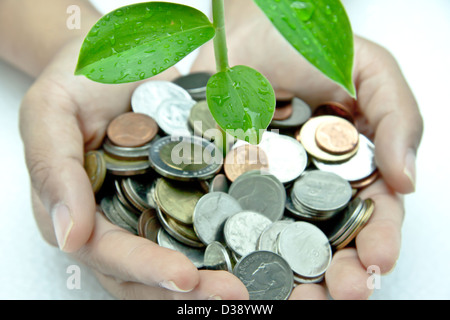 Baum wächst aus Haufen von Münzen in den Händen. Stockfoto