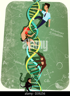 DNA-Strang, Entwicklung des Menschenhandels darstellt Stockfoto