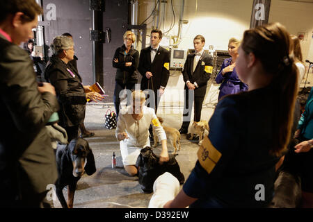 New York City, USA, 12. Februar 2013. Ihre Hundeführer im Unternehmensbereich Junior Showmanship warten auf ihre Chance im Show-Ring. Savanah Livingston, pflegen die schwarze American Cocker Spaniel in der Mitte, den Junior Showmanship-Award bei der 137. jährlichen Westminster Kennel Club Dog Show. Stockfoto