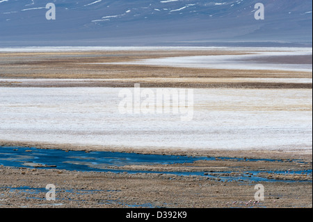 Laguna Santa Rosa Parque Nacional Nevado Tres Cruces hohen Anden Chile Südamerika Stockfoto