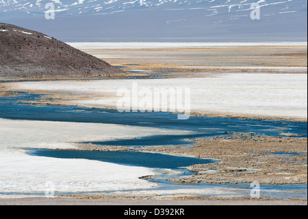 Laguna Santa Rosa Parque Nacional Nevado Tres Cruces hohen Anden Chile Südamerika Stockfoto