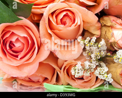 Strauß Rosen Stockfoto